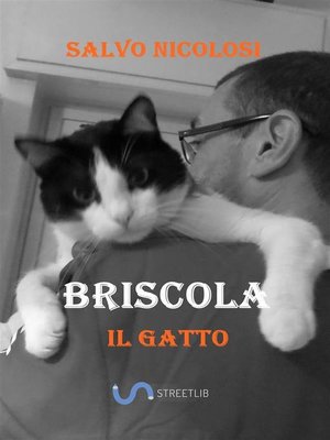 cover image of Briscola il Gatto